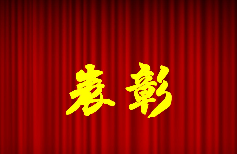 逐光前行、榮耀共鑒 | 公司2024年度表彰來(lái)啦！